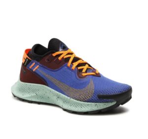 DEPORTIVO NIKE PEGASUS AZUL