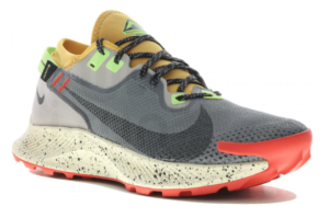 DEPORTIVO NIKE PEGASUS